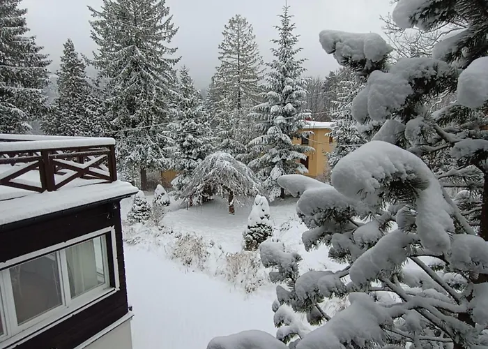 Pensión Cieszynianka 3*